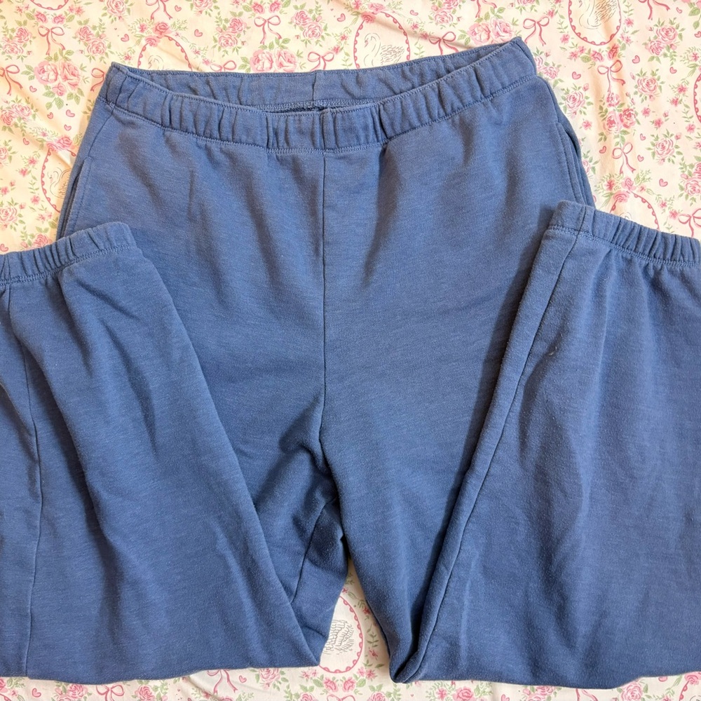 American Eagle Outfitters Slate Blue Joggers